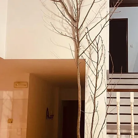 Holiday home Refugio No Campo