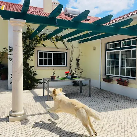 Refugio No Campo Holiday home A dos Cunhados
