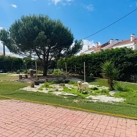 Holiday home Refugio No Campo